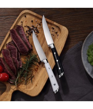 Hot Sale Premium Stainless Steel Handle Steak Knife Set for Cooking with Serrated Blades and ABS