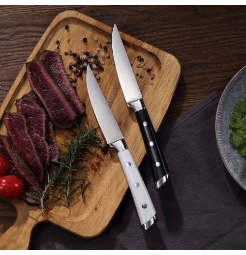 Hot Sale Premium Stainless Steel Handle Steak Knife Set for Cooking with Serrated Blades and ABS