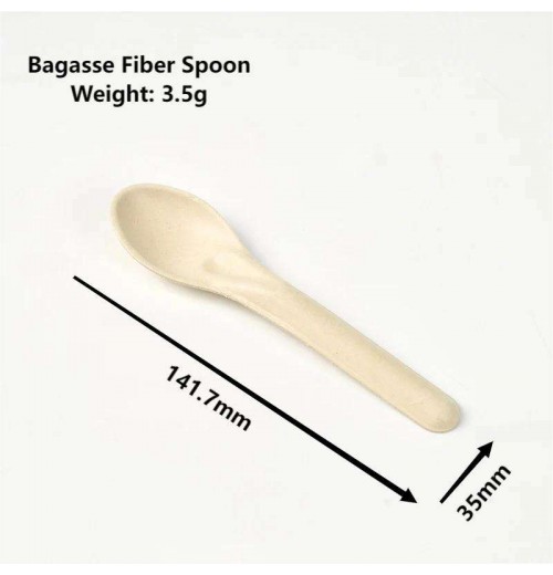 Hot Selling Molded Fiber Bagasse Pulp Spoon Eco Friendly Disposable Utensil Canteen